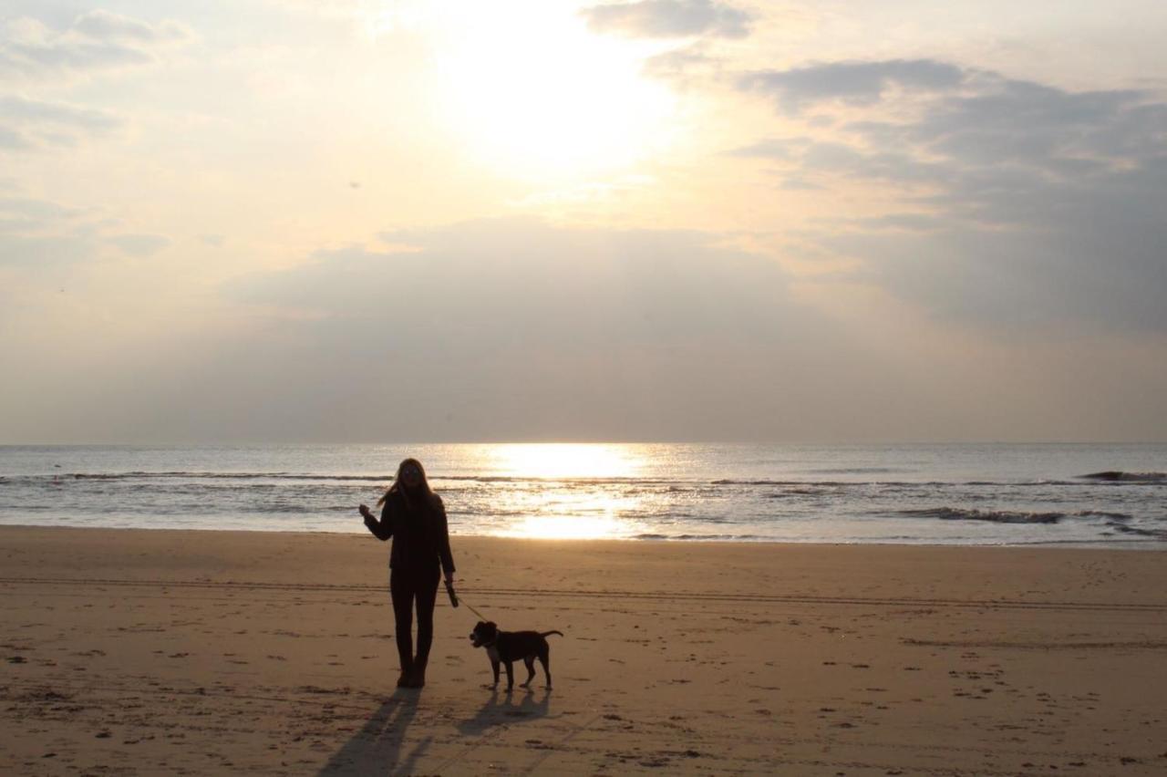 Bungalow Strandparel Julianadorp Dış mekan fotoğraf
